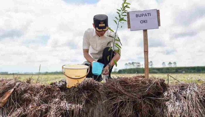 Melengkapi Upaya Mitigasi Pemkab OKI dan BKSDA