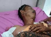 Peternak Udang di OKI Diterkam Buaya, Tangan Kanan Terputus