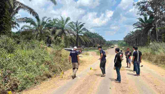 Sopir Truk Tewas Ditikam di Muba, Ditemukan Bersimbah Darah, Pelaku Diburu Polisi
