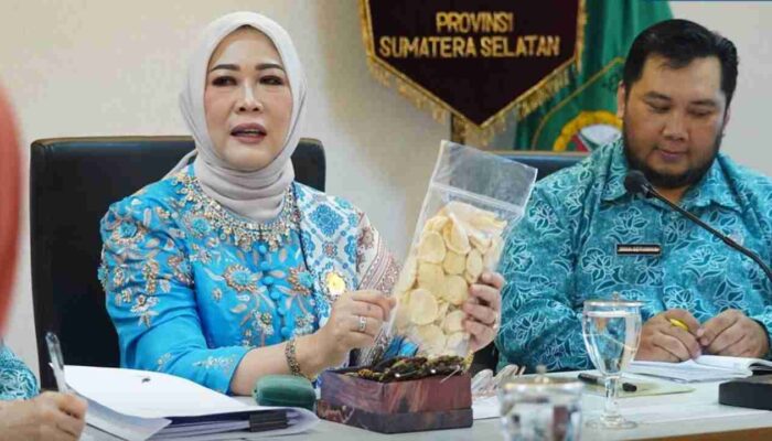 TP PKK Sumsel dan PPUMI Sumsel Sinergi Perkuat UMKM Perempuan, Feby Deru Tekankan Jaga Kualitas Produk
