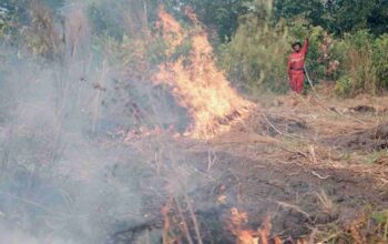 Alarm Karhutla Sumsel Berbunyi: Titik Panas Meroket Jadi 291 Titik, Muba Terbanyak, Puncak Kemarau Juli-Agustus Menjadi Ancaman Nyata!