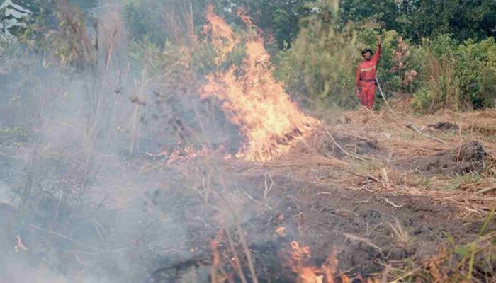 Alarm Karhutla Sumsel Berbunyi: Titik Panas Meroket Jadi 291 Titik, Muba Terbanyak, Puncak Kemarau Juli-Agustus Menjadi Ancaman Nyata!