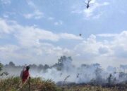 Alarm Karhutla Sumsel Berbunyi: Tujuh Daerah Rawan Masih Abai Status Siaga Meski Hotspot Melonjak