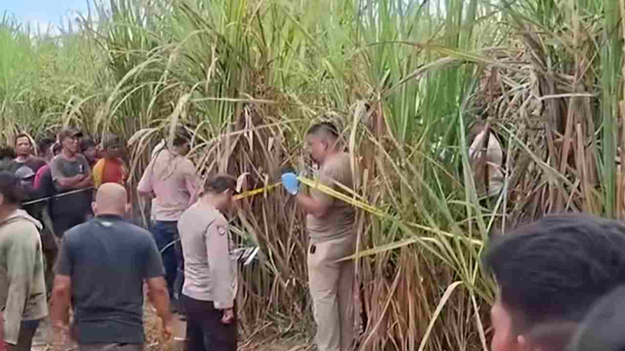 Misteri Pembunuhan Wanita Hamil di Kebun Tebu Ogan Ilir: Mita Rosnita Tewas Mengenaskan, Polisi Periksa 22 Saksi, Suami Korban Menanti Keadilan