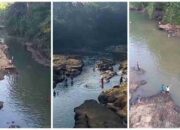 Sungai Kelingi Tercemar Racun: Ratusan Ikan Mati Mendadak, Ancaman bagi Warga dan Lingkungan
