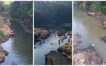 Sungai Kelingi Tercemar Racun: Ratusan Ikan Mati Mendadak, Ancaman bagi Warga dan Lingkungan