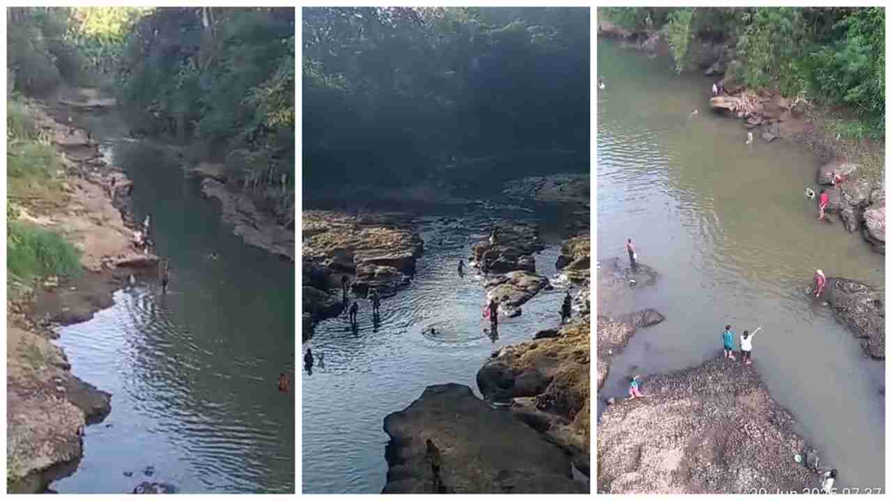 Sungai Kelingi Tercemar Racun: Ratusan Ikan Mati Mendadak, Ancaman bagi Warga dan Lingkungan