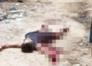 Terungkap! Pembunuhan di Kebun Sawit Muba Diduga Kuat Terkait Perebutan Wilayah Tambang Minyak Ilegal