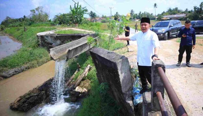 Aksi Spontan Herman Deru di Lapangan, Gubernur Sumsel Tinjau Langsung Irigasi Rusak yang Ancam Petani OKU Timur