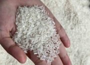 DKPP Sumsel Klaim Belum Terima Aduan Beras Oplosan, Tegaskan Pengawasan Rutin dan Minta Warga Proaktif Lapor