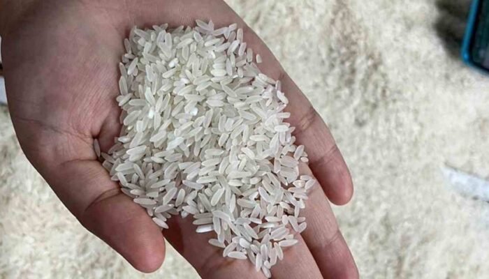 DKPP Sumsel Klaim Belum Terima Aduan Beras Oplosan, Tegaskan Pengawasan Rutin dan Minta Warga Proaktif Lapor