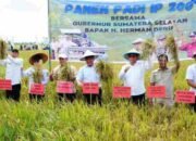Gubernur Herman Deru Gelorakan Semangat Petani di Panen Raya Banyuasin: Disiplin, Inovasi, dan Dukungan Penuh Pemprov