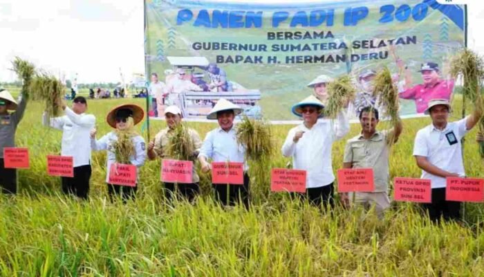 Gubernur Herman Deru Gelorakan Semangat Petani di Panen Raya Banyuasin: Disiplin, Inovasi, dan Dukungan Penuh Pemprov
