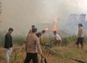 Karhutla Sumsel Capai 98 Kejadian, Ogan Ilir Ditetapkan Zona Merah dengan 56 Titik Api