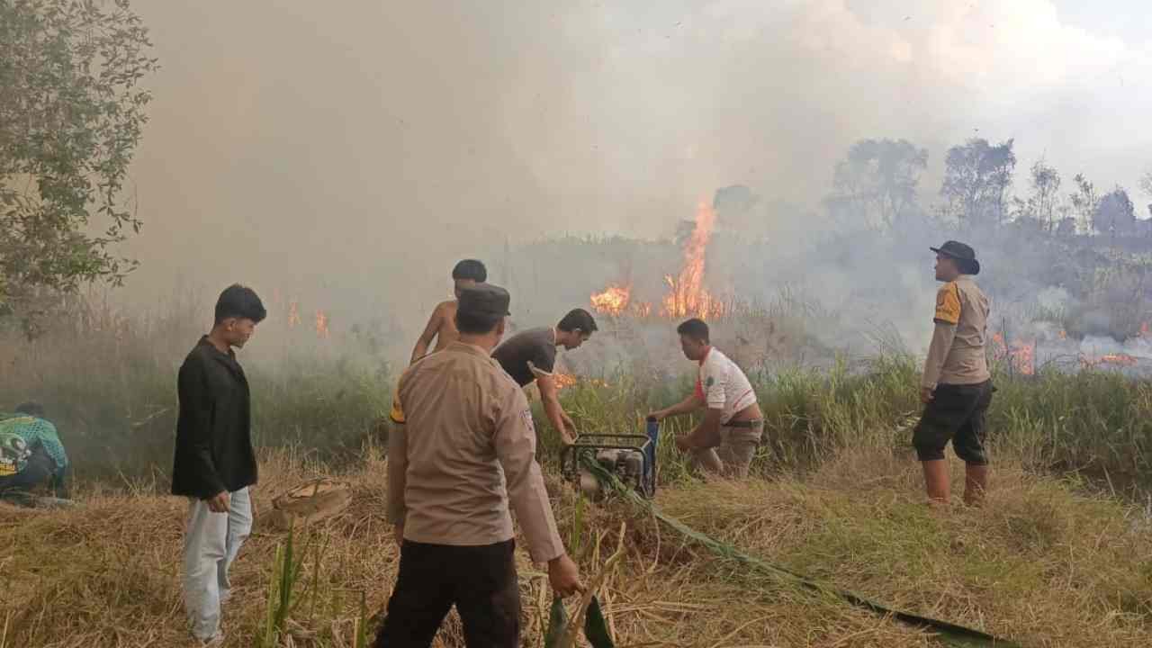 Karhutla Sumsel Capai 98 Kejadian, Ogan Ilir Ditetapkan Zona Merah dengan 56 Titik Api