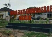 BPK Temukan Miliaran Rupiah Obat Mendekati Kedaluwarsa di RSUD Ogan Ilir, Kualitas Layanan Kesehatan Terancam