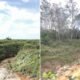 Proyek Normalisasi Sungai Rp75 Miliar di OKI, BPK Ungkap Hanya Dikerjakan di Kebun Sawit dan Lahan Kering