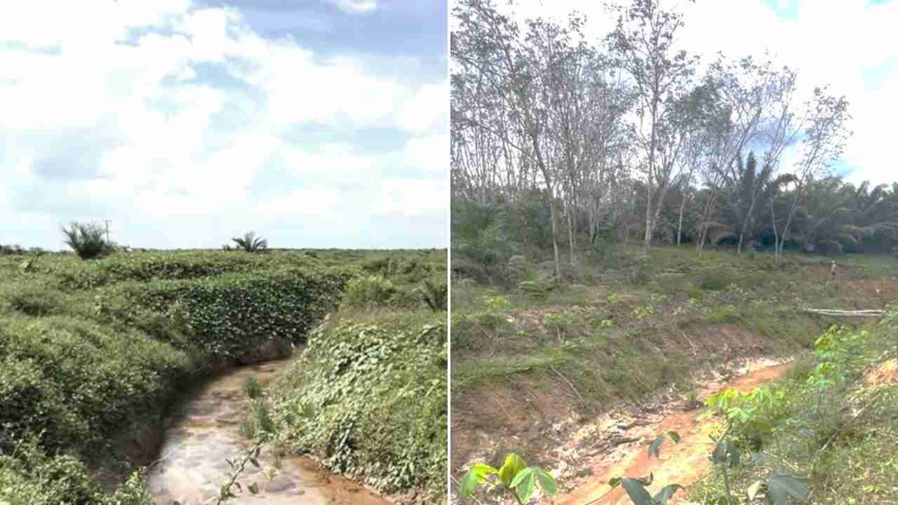Proyek Normalisasi Sungai Rp75 Miliar di OKI, BPK Ungkap Hanya Dikerjakan di Kebun Sawit dan Lahan Kering