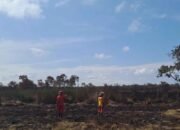 Berkat Hujan, Kebakaran Lahan di Pangkalan Lampam OKI Akhirnya Padam