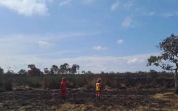 Berkat Hujan, Kebakaran Lahan di Pangkalan Lampam OKI Akhirnya Padam