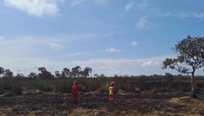 Berkat Hujan, Kebakaran Lahan di Pangkalan Lampam OKI Akhirnya Padam