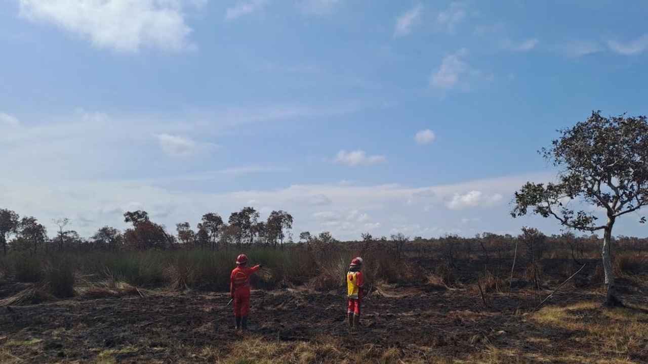Berkat Hujan, Kebakaran Lahan di Pangkalan Lampam OKI Akhirnya Padam