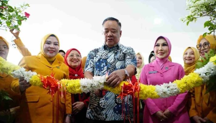 Cik Ujang Apresiasi Peran BKOW, Dorong Pemberdayaan Ekonomi Kreatif Perempuan