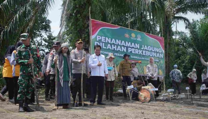 Dukung Program Swasembada Pangan, Polres OKI Tanam Jagung di Lingkungan Pondok Pesantren