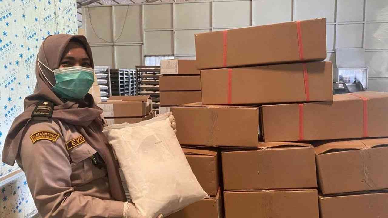 Ekspor 50 Ton Santan Beku ke China, Karantina Sumsel Jamin Mutu Produk Unggulan