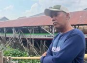 Hadiah Lomba Bidar Palembang Rp 25 Juta Disorot, Juara Pertanyakan Komitmen Pemkot Lestarikan Budaya Lokal
