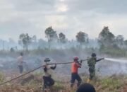 Karhutla Kembali Hantam Ogan Ilir: 3 Hektare Lahan Gambut Tak Bertuan Terbakar, Tim Gabungan Berjibaku Padamkan Api