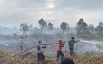 Karhutla Kembali Hantam Ogan Ilir: 3 Hektare Lahan Gambut Tak Bertuan Terbakar, Tim Gabungan Berjibaku Padamkan Api