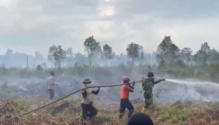 Karhutla Kembali Hantam Ogan Ilir: 3 Hektare Lahan Gambut Tak Bertuan Terbakar, Tim Gabungan Berjibaku Padamkan Api