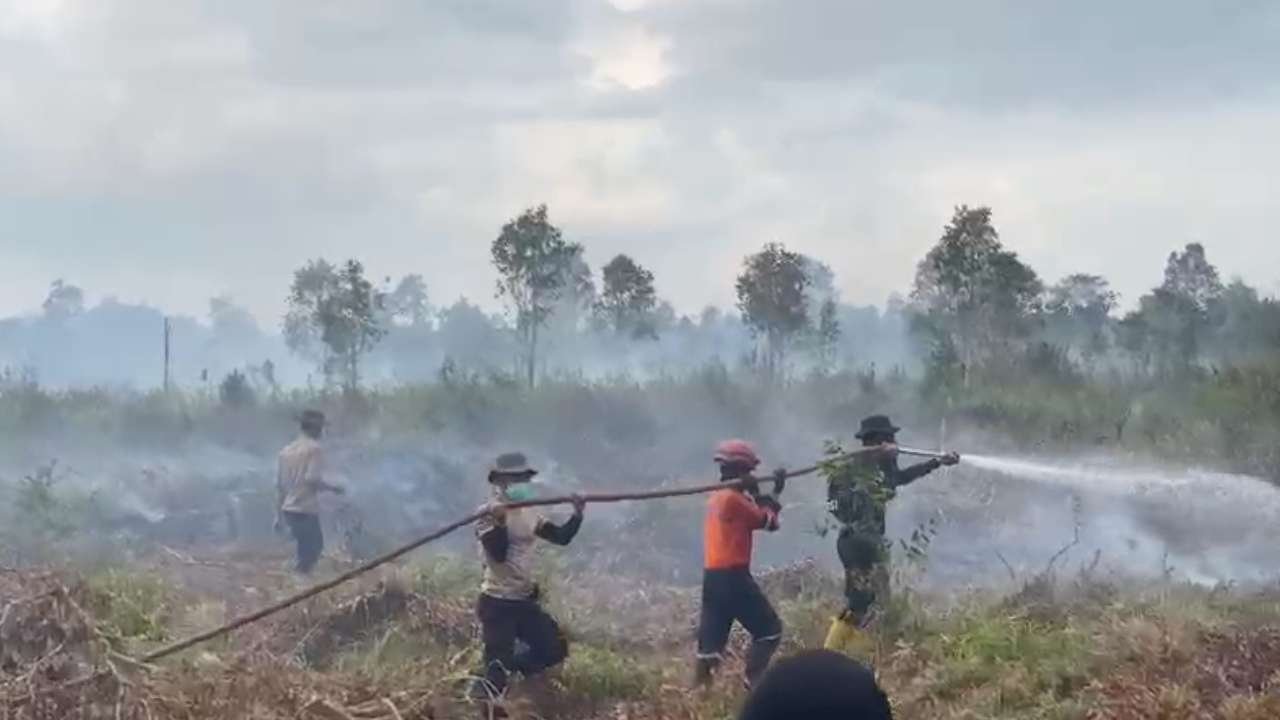 Karhutla Kembali Hantam Ogan Ilir: 3 Hektare Lahan Gambut Tak Bertuan Terbakar, Tim Gabungan Berjibaku Padamkan Api