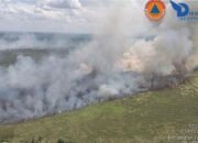 Karhutla Melanda Tiga Daerah, Belasan Hektare Lahan di Sumsel Terbakar