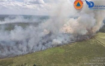 Karhutla Melanda Tiga Daerah, Belasan Hektare Lahan di Sumsel Terbakar