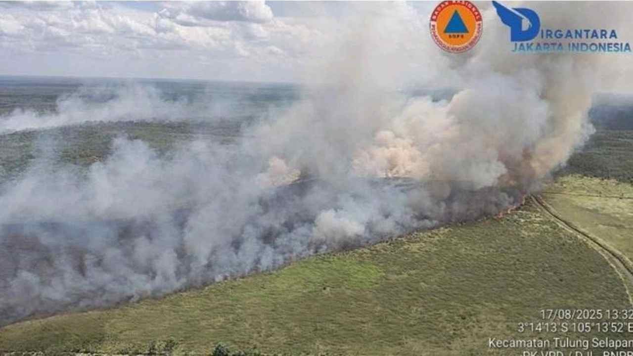 Karhutla Melanda Tiga Daerah, Belasan Hektare Lahan di Sumsel Terbakar