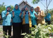 Lidyawati Cik Ujang Dorong Kemandirian Pangan Keluarga di PALI, Ajak Masyarakat Manfaatkan Potensi Lokal
