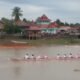 Merahkan Sungai Komering, 25 Regu Adu Cepat di Lomba Bidar HUT RI