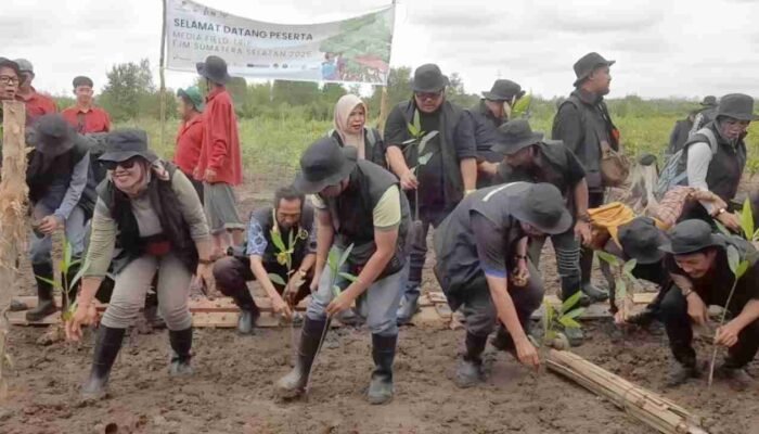 Sungsang, Paru-Paru Baru yang Ditanam di Tepi Muara