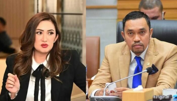 Tanggapi Dinamika Masyarakat, NasDem Nonaktifkan Ahmad Sahroni dan Nafa Urbach dari DPR