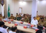 Apresiasi Mendagri untuk Herman Deru, Komitmen Sumsel Jaga Stabilitas Harga dan Sosial