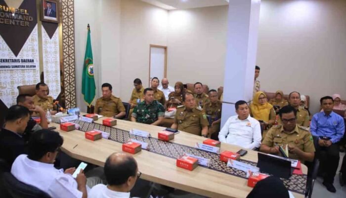 Apresiasi Mendagri untuk Herman Deru, Komitmen Sumsel Jaga Stabilitas Harga dan Sosial