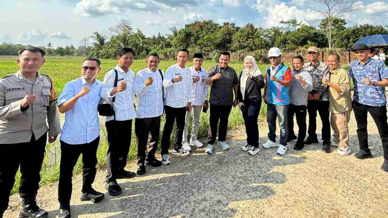 Dampak Nyata 'Listrik Masuk Sawah' di OKI, Petani Optimistis Panen Tiga Kali Setahun