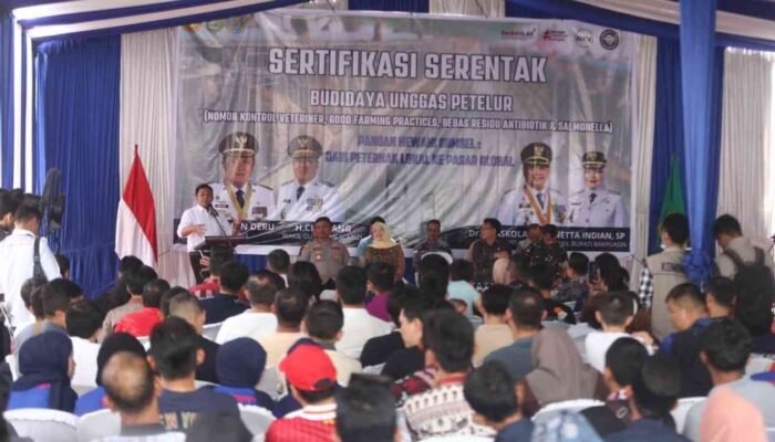 Dari Kandang ke Meja Makan, Sertifikasi Mutu Dongkrak Kualitas Telur Ayam Banyuasin