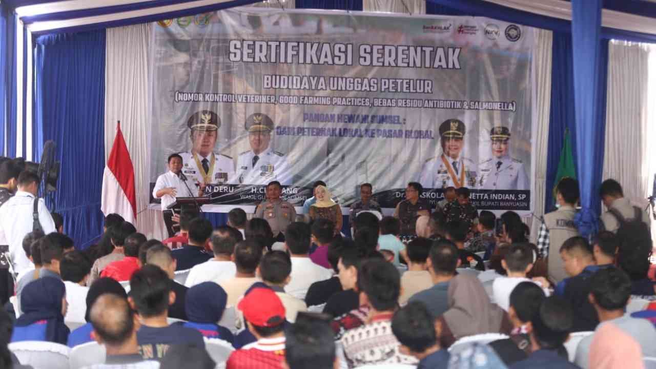 Dari Kandang ke Meja Makan, Sertifikasi Mutu Dongkrak Kualitas Telur Ayam Banyuasin