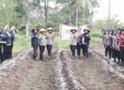 Dukung Program Presiden Prabowo, Polwan Polda Sumsel Ajak Warga Palembang Bertani Jagung, Bulog Siap Tampung Hasil Panen