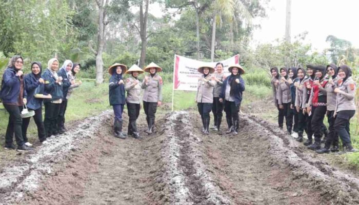 Dukung Program Presiden Prabowo, Polwan Polda Sumsel Ajak Warga Palembang Bertani Jagung, Bulog Siap Tampung Hasil Panen