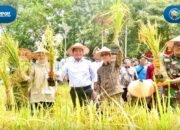Hadapi Tantangan Pangan, Sumsel Alihkan Fokus dari Cetak Sawah ke Intensifikasi