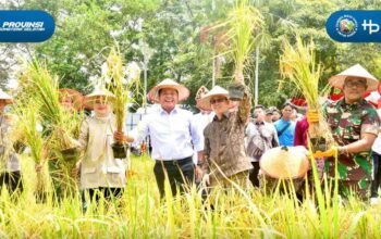 Hadapi Tantangan Pangan, Sumsel Alihkan Fokus dari Cetak Sawah ke Intensifikasi
